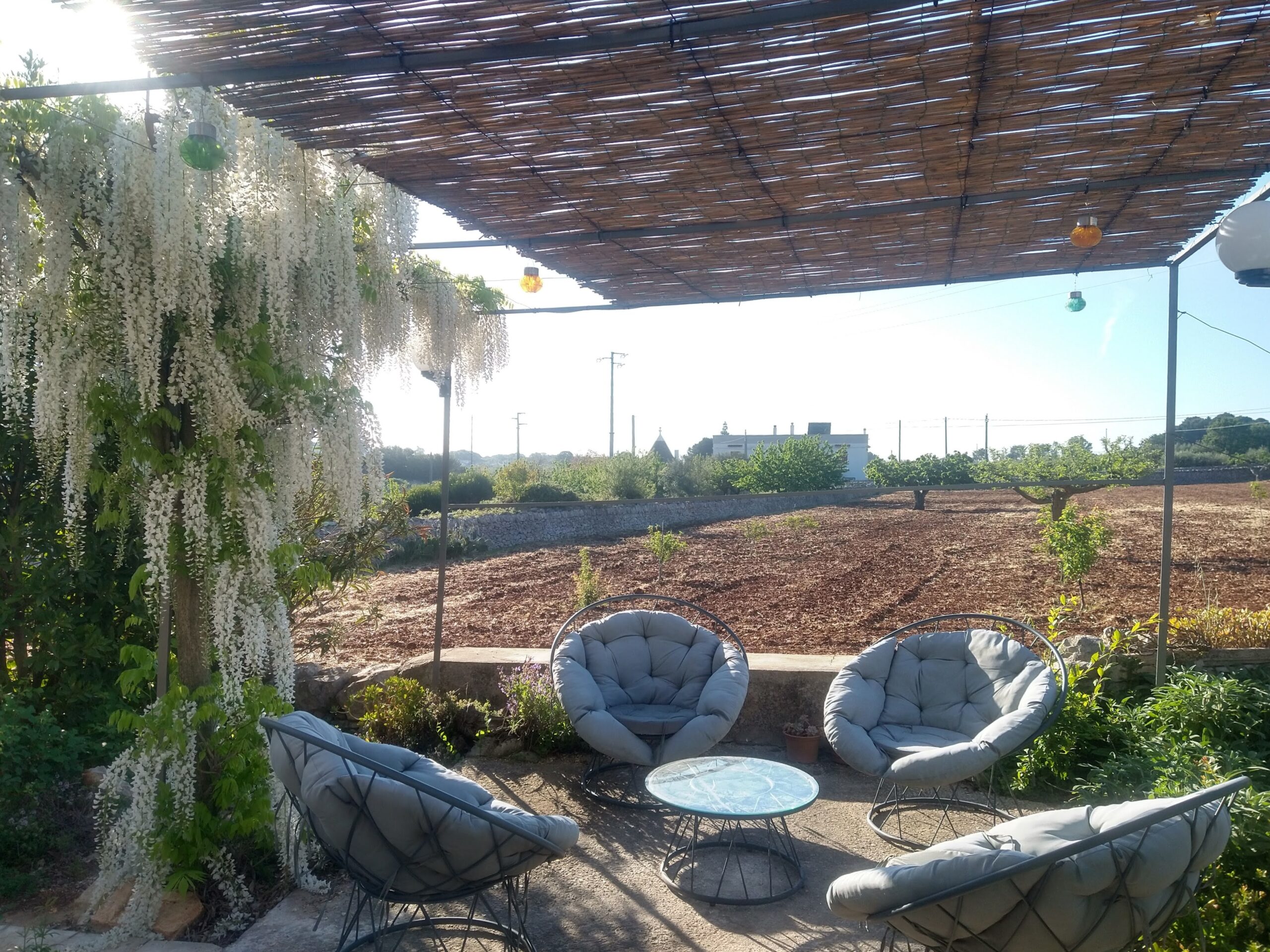 lounge aan de olijfboomgaard